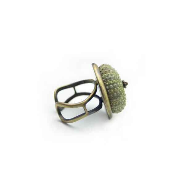 Δαχτυλίδι από ορείχαλκο και φυσικό κέλυφος αχινού