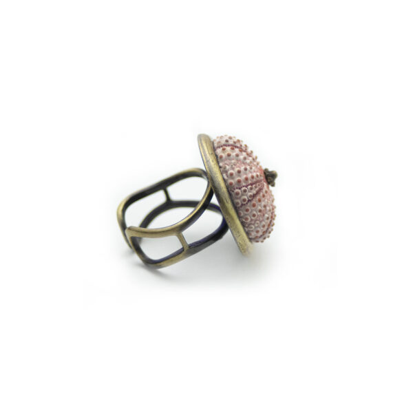 Δαχτυλίδι από ορείχαλκο και φυσικό κέλυφος αχινού